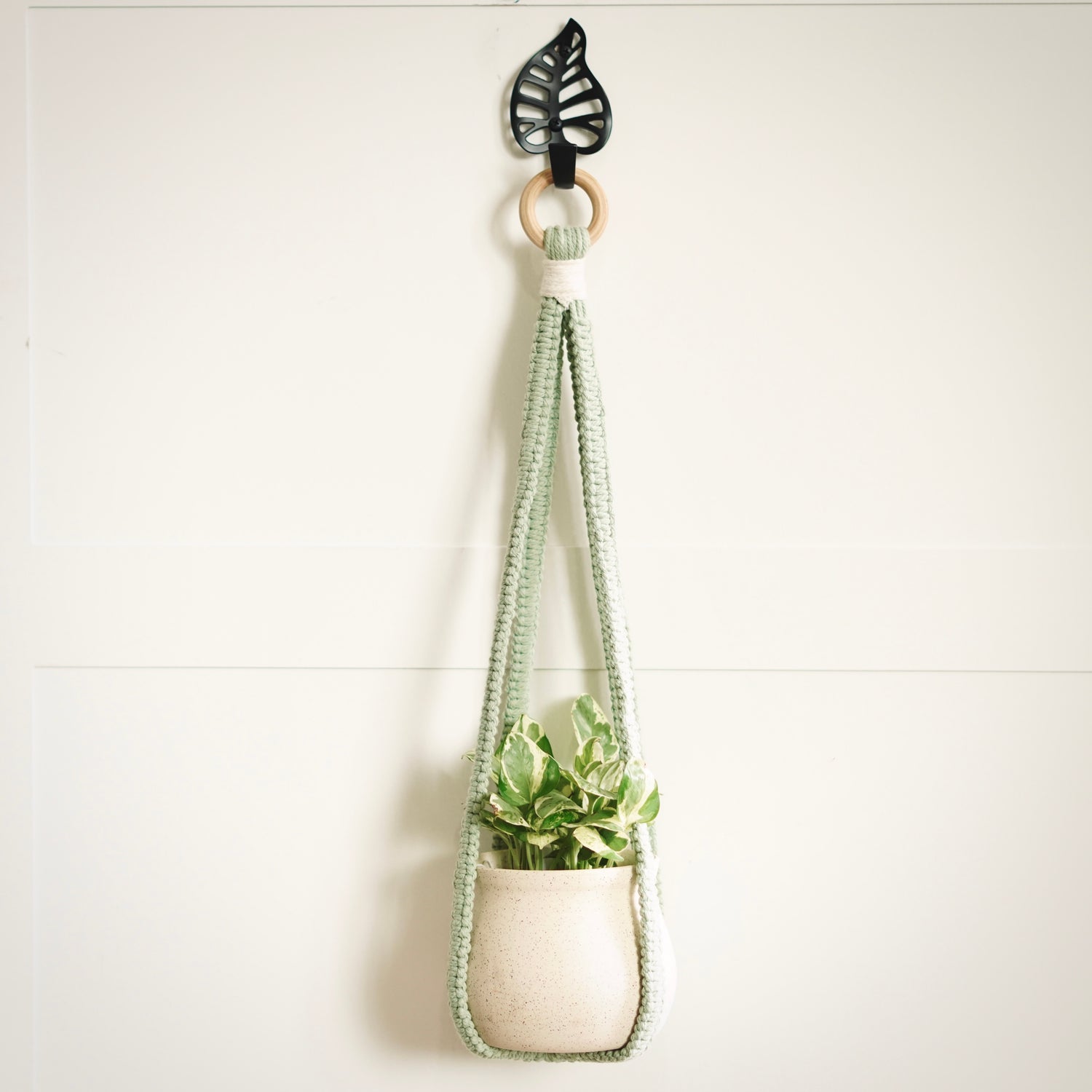 Plant Hangers