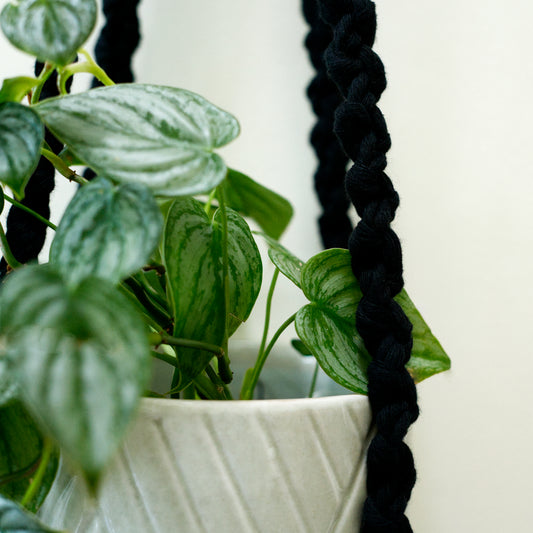 chunky macrame plant hanger close up