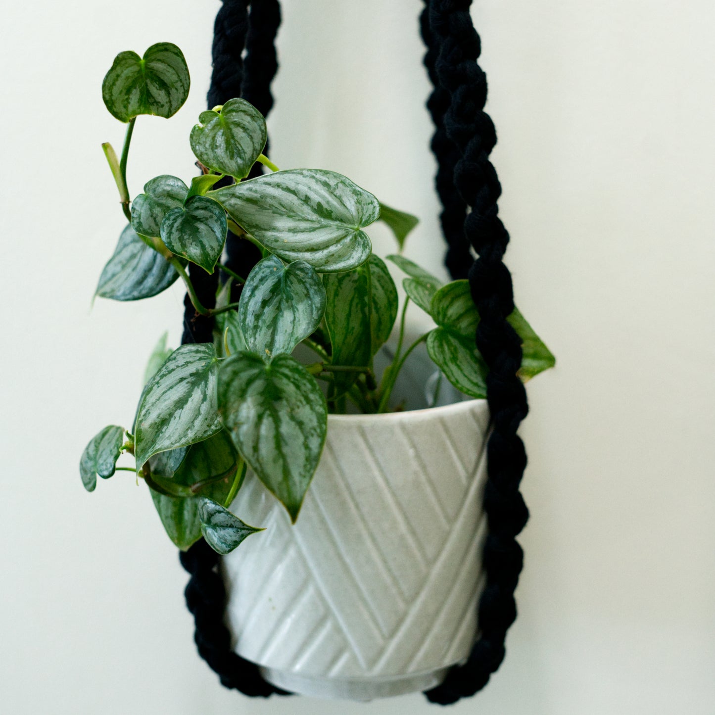 chunky macrame plant hanger Black