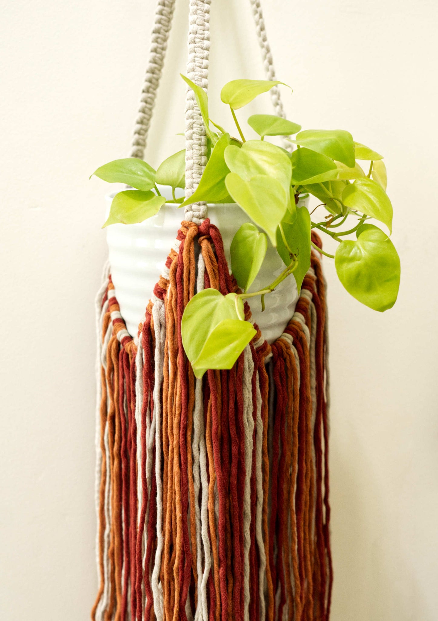 Boho Fringe Macrame Plant Hanger