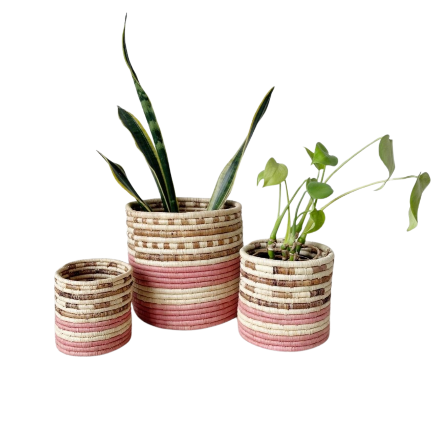 Arabuko baskets with plants