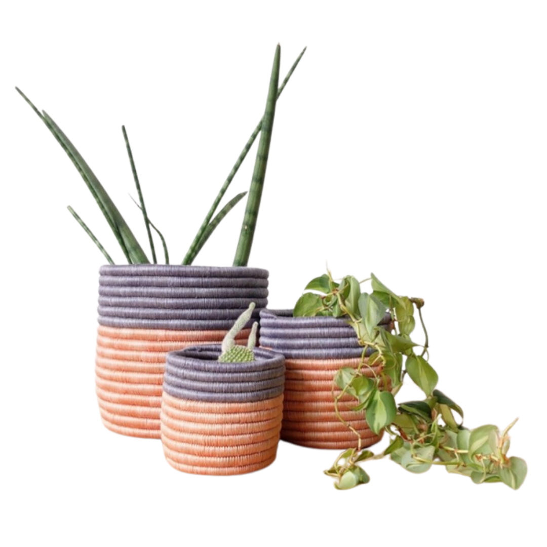 Bweza Planter Baskets with plants