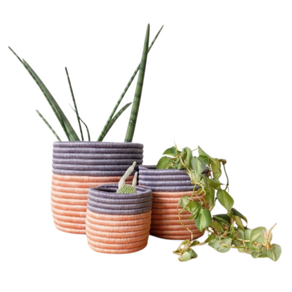 Bweza Planter Baskets with plants