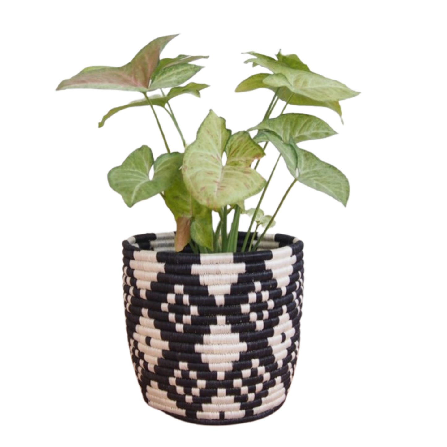 Ndora handmade woven planter basket Large