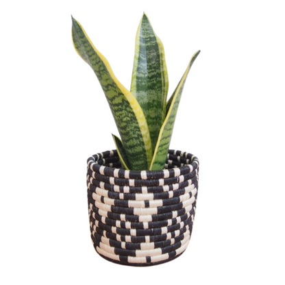 Ndora Handmade Woven Planter Basket Medium