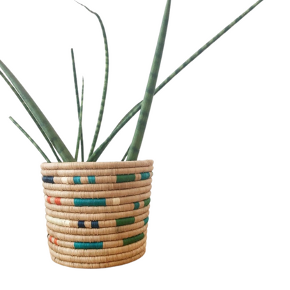 Butembo basket with plant