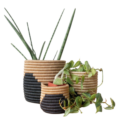 Kisoro Baskets with Plants