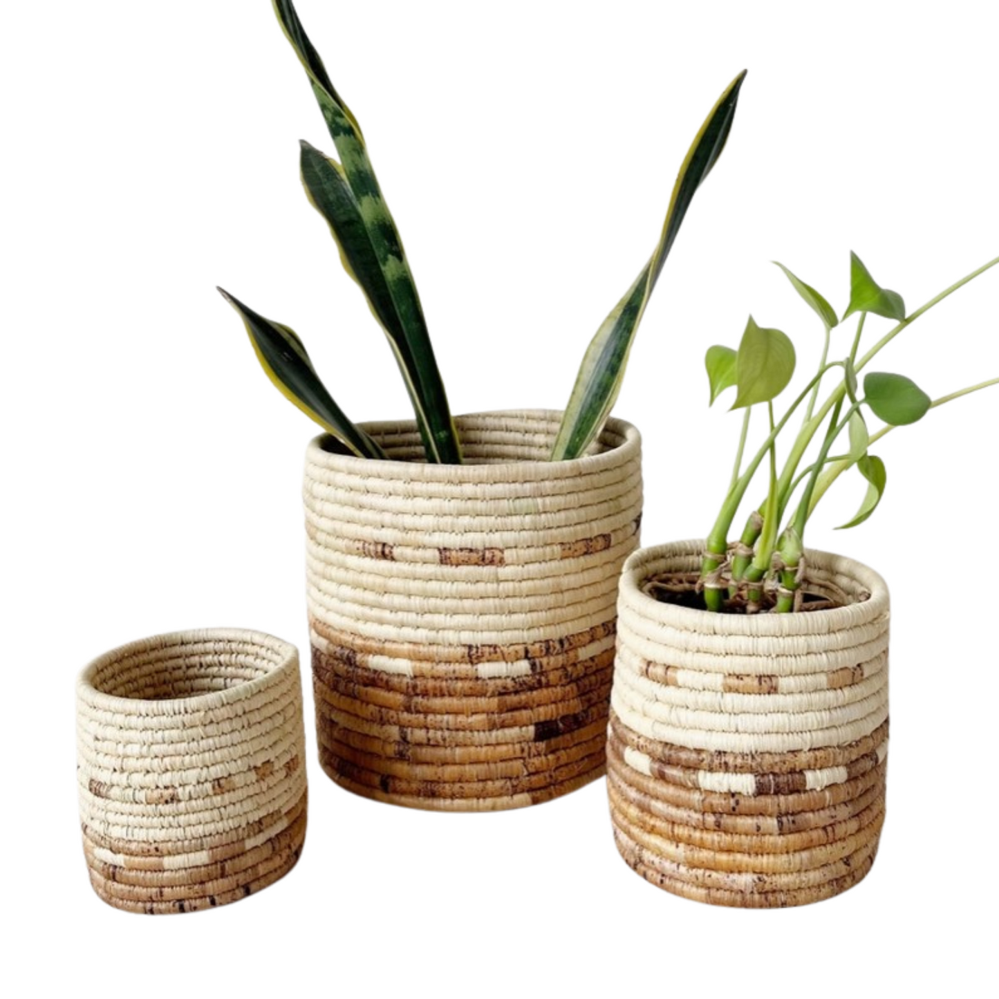 handmade woven planter basket with plants displayed inside