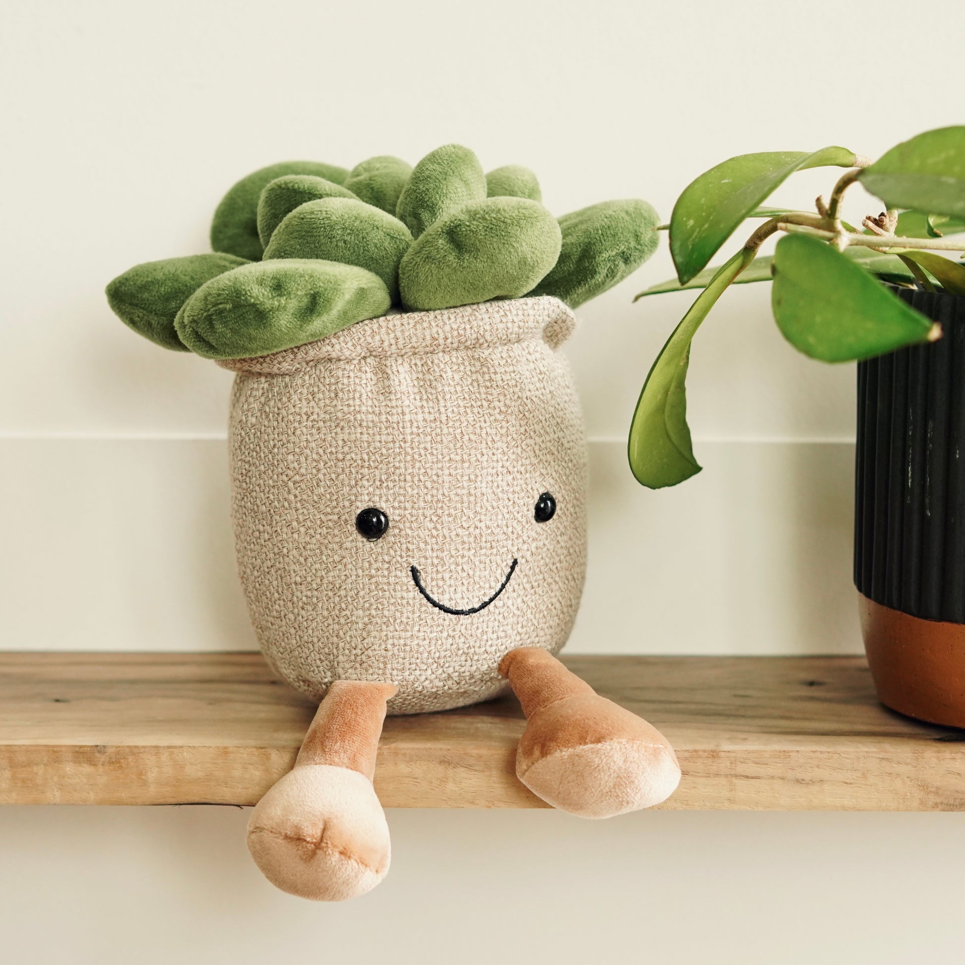 Sidney Succulent Plush