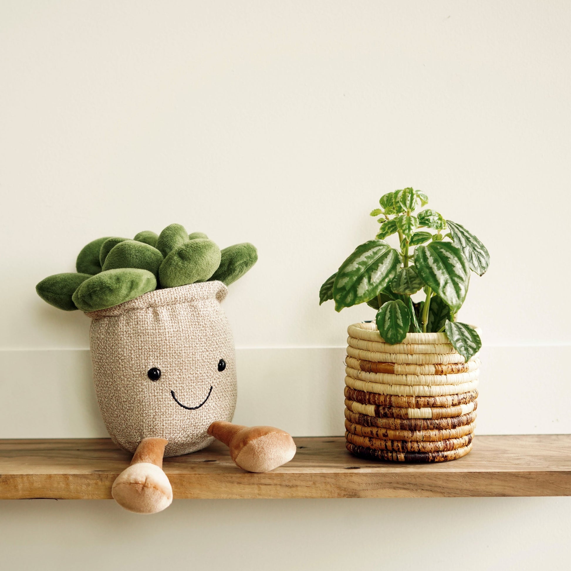 succulent stuffed animal Succulent Plush: Meet Sidney, Your Cheerful Green Companion